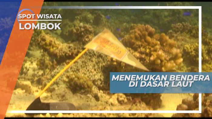 Menyelami Surga Bawah Laut Gili Trawangan, Menemukan Bendera, Lombok
