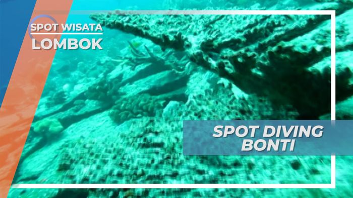 Spot Diving Bounty, Menjelajah Bangkai Kapal Karam Di Dasar Laut Lombok