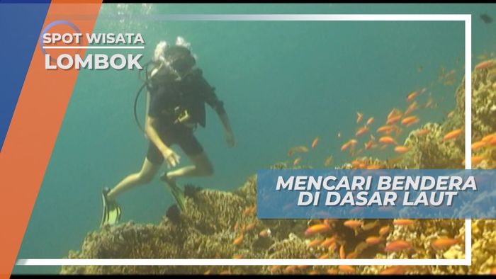 Diving Menikmati Keindahan Bawah Laut Gili Trawangan Lombok