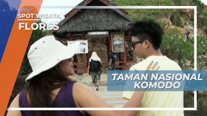 Menuju Pulau Rinca Melihat Komodo di Taman Nasional Flores