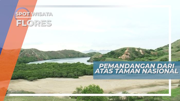 Pesona Indah Panorama Alam Loh Buaya Taman Nasional Komodo Flores