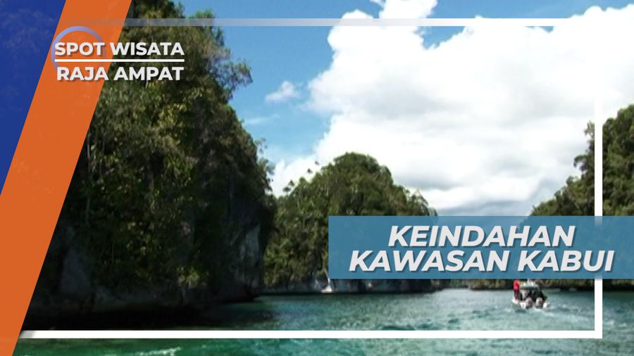 Indahnya Kawasan Kabui, Surga Tersembunyi yang Tak Berpenghuni, Raja Ampat