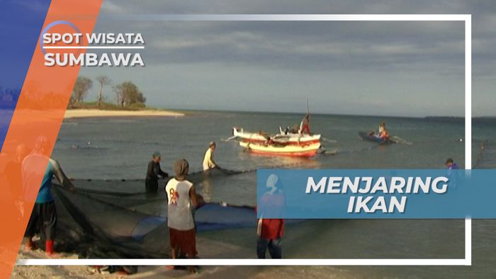 Menarik Jala, Membantu Nelayan Menjaring Ikan di Gili Keramat Sumbawa