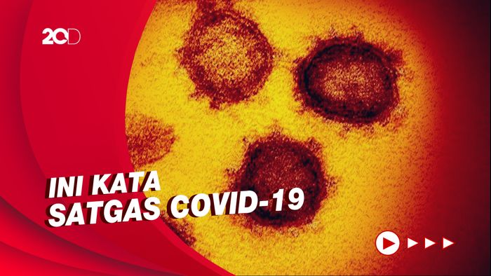 Siapkah Indonesia Hadapi Varian Corona yang Lebih Ganas?