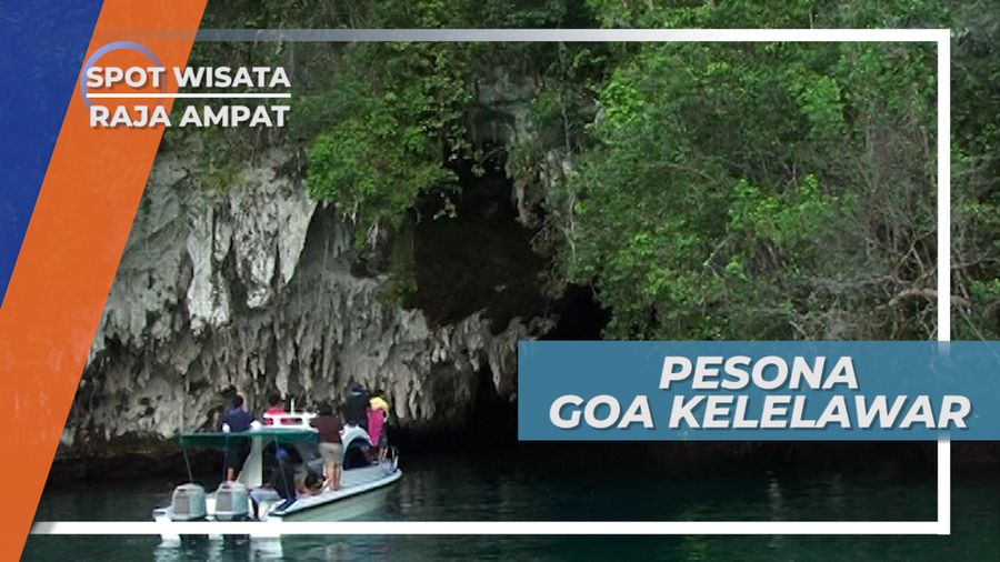 Mengintip Rumah Ribuan Kelelawar di Kawasan Kabui, Raja Ampat