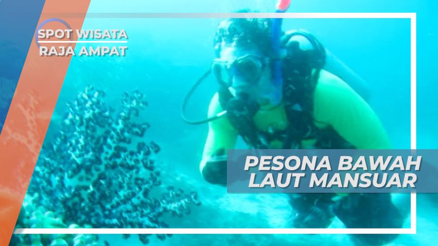 Menengok Indahnya Surga Bawah Laut Pulau Mansuar, Raja Ampat
