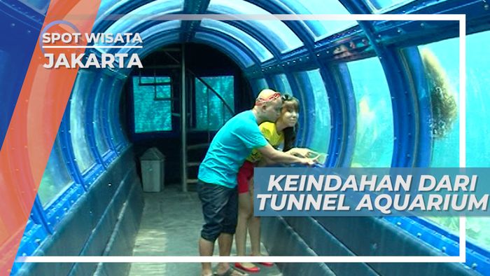 Menikmati Keindahan Ekosistem Laut dari Dalam Aquarium Raksasa, Jakarta
