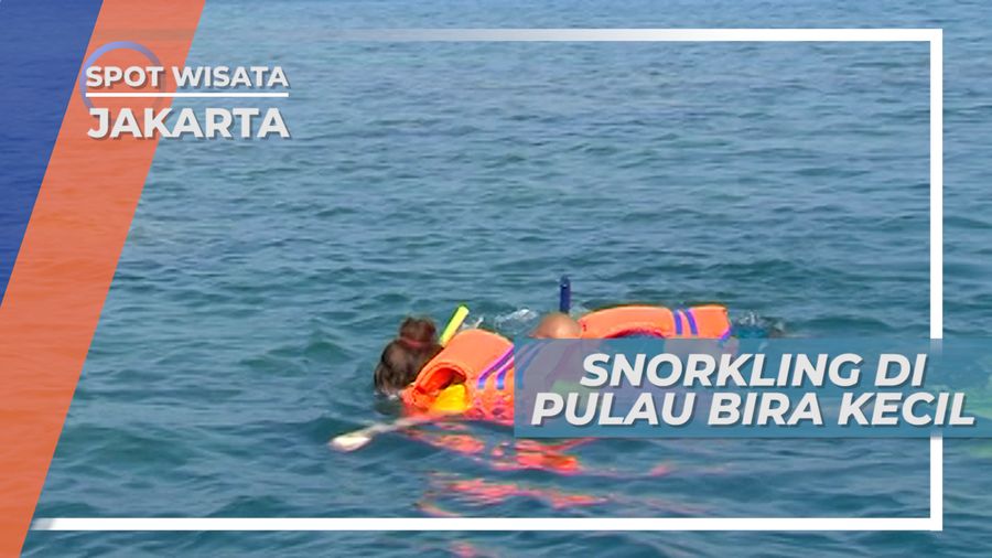 Snorkeling, Melihat Keindahan Bawah Laut di Pulau Bira Kecil, Jakarta