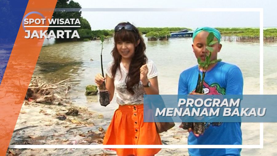 Mangrove, Tanaman Pelindung Garis Pantai dari Abrasi, Jakarta