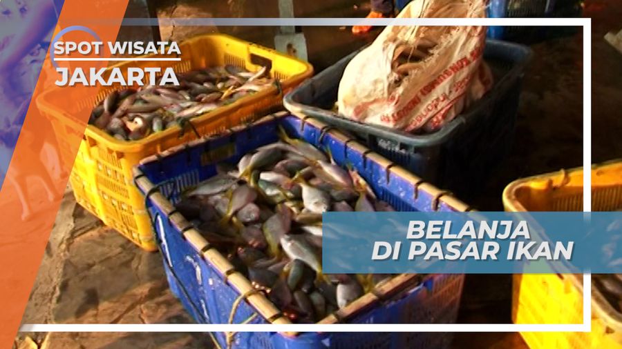 Mengunjungi Ramainya Pasar Ikan Pulau Pramuka, Jakarta
