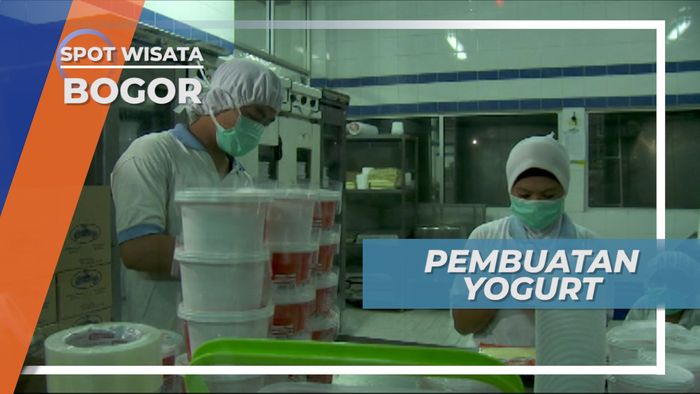 Mengunjungi Tempat Pembuatan Yogurt, Bogor