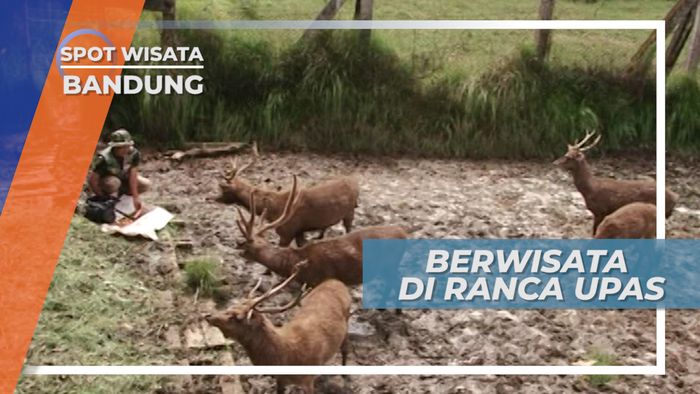 Ranca Upas, Bumi Perkemahan yang Digemari Masyarakat Bandung
