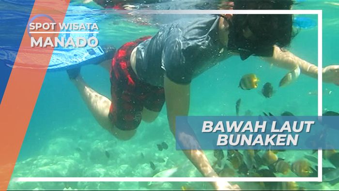 Snorkeling Menikmati Keindahan Bawah Laut Pulau Bunaken, Manado