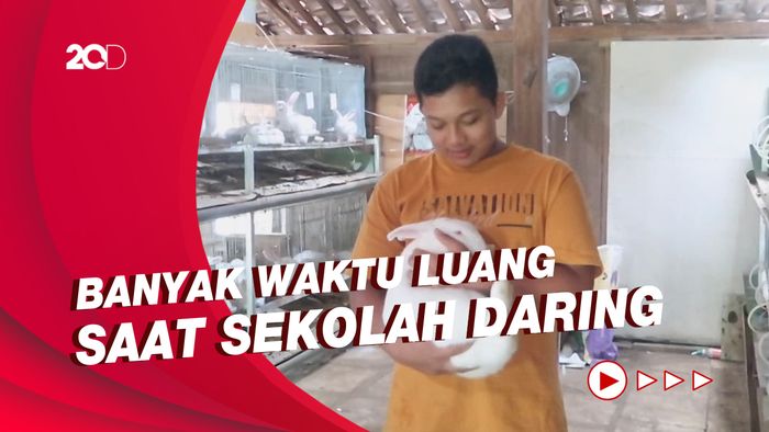 Keren! Bocah di Gunungkidul Raup Jutaan Rupiah dari Beternak Kelinci