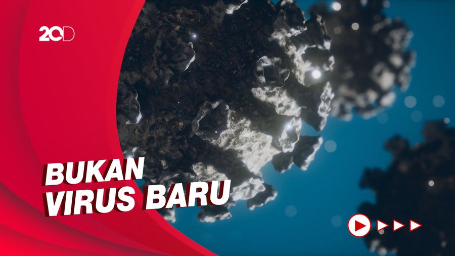 WHO Minta Indonesia Pantau Terus 3 Varian Lokal yang Dominan