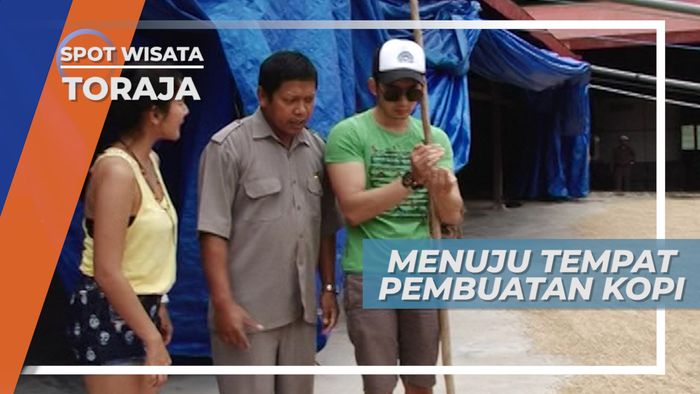 Harumnya Biji Kopi, Membawa Langkah Menuju Tempat Pembuatan Kopi Toraja Yang Tekenal