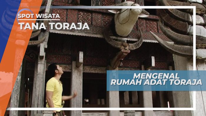 Tanduk Kerbau Sebagai Penanda Status Adat Sebuah Keluarga Masyarakat Toraja