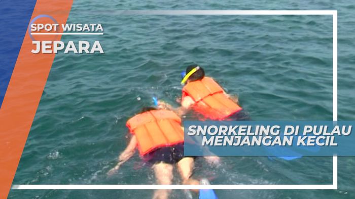 Snorkeling Menikmati Keindahan Bawah Laut Pulau Menjangan Kecil Jepara