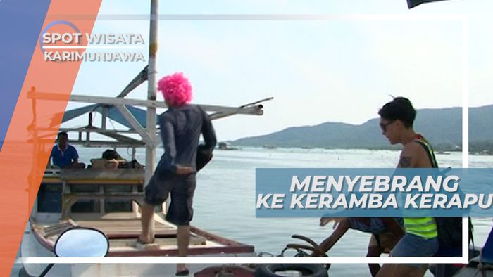 Berperahu Menuju Keramba Kerapu Karimun Jawa Besar Jepara