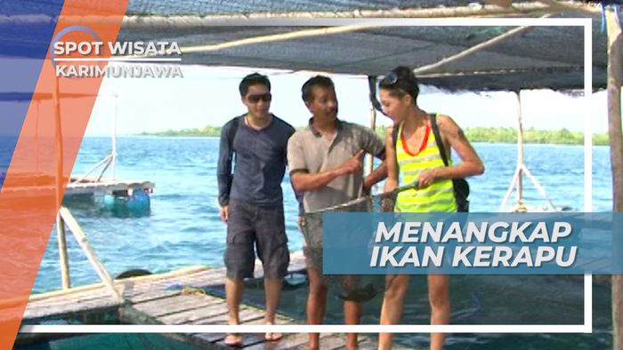Mencoba Menangkap Ikan Kerapu Menggunakan Jaring, Karimunjawa Jepara
