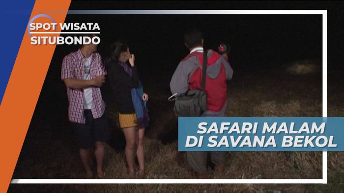 Melihat Satwa di Gelapnya Malam, Serunya Safari Savana Bekol Situbondo