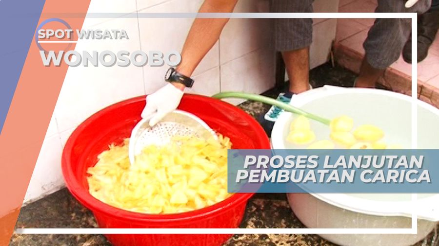 Rahasia Segar Pengolahan Buah Carica di Desa Seruni Wonosobo