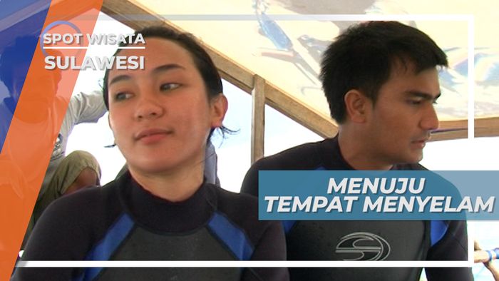 Memilih Spot Penyelaman yang Memiliki Pemandangan Bawah Laut yang Indah, Sulawesi