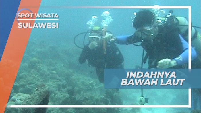Panorama Indah Bawah Laut Pulau Selayar, Sulawesi