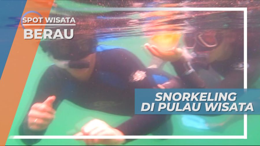 Snorkeling di Pulau Kakaban Berau Kalimantan Timur, Melihat Cantiknya Ubur-ubur