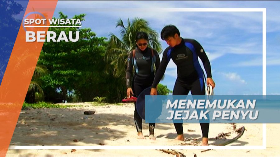 Menelusuri Jejak Penyu di Pulau Sangalaki Berau Kalimantan Timur