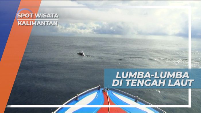 Tarian Lumba-Lumba Menemani Perjalanan Menuju Pulau Maratua, Berau