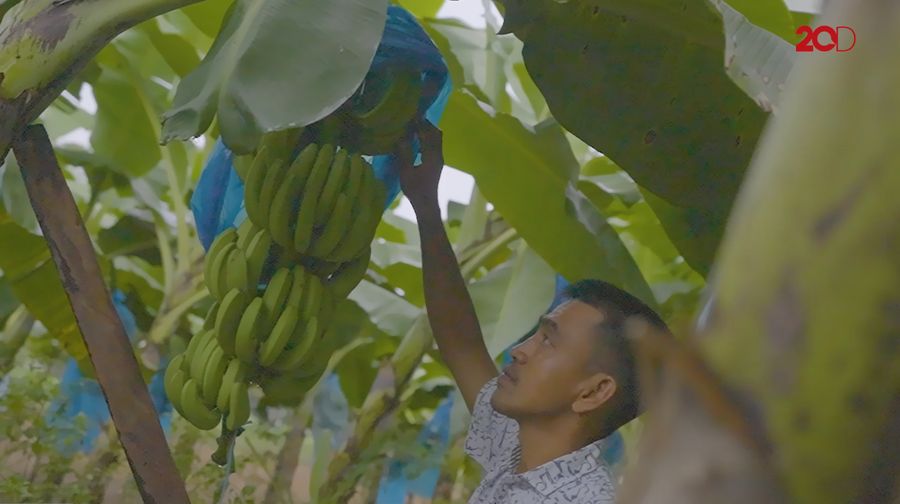 Cerita Pengrajin Mebel Sekaligus Petani Pisang, Dari Bujang hingga sekarang.