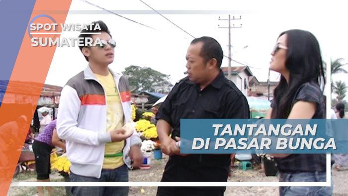 Indahnya Bunga Bunga Potong di Berastagi Sumatera Utara