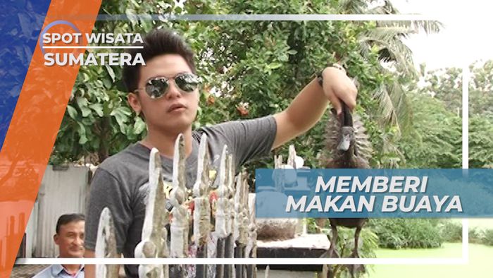 Berkesempatan Memberi Makan Buaya Asam Kumbang Medan Selayang Sumatera Utara 