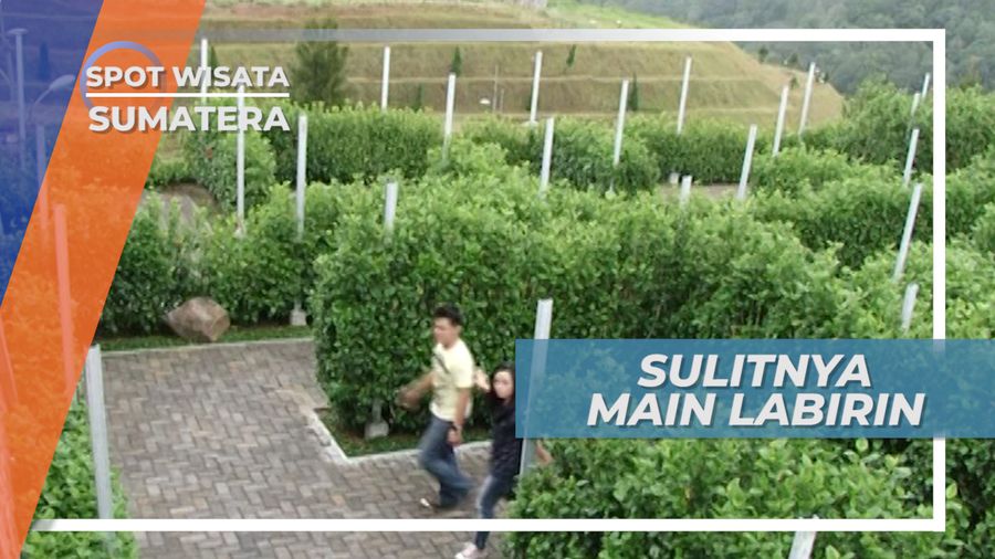 Berputar-Putar Tak Ketemu Jalan Keluar, Bingung Gembira ala Taman Labirin Danau Toba Sumatera Utara