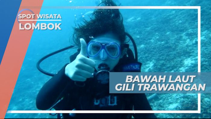 Bertemu Penyu dan Ikan-Ikan Cantik di Bawah Permukaan Laut Perairan Gili Meno Lombok
