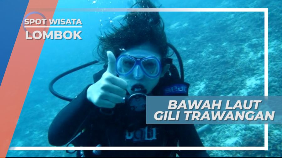 Bertemu Penyu dan Ikan-Ikan Cantik di Bawah Permukaan Laut Perairan Gili Meno Lombok