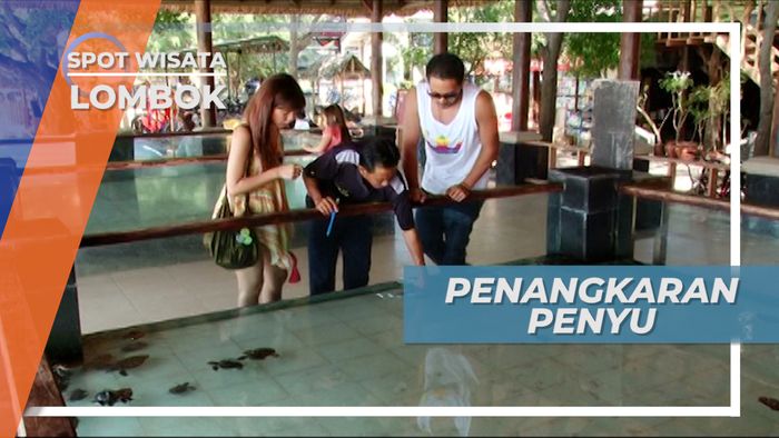 Penangkaran Penyu Gili Trawangan Lombok