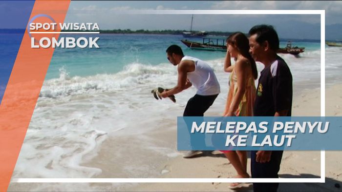 Pelepas Liaran Penyu ke Laut, Gili Trawangan Lombok