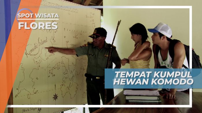 Mau Mencari Komodo Disambut Senyum Terkembang Di Taman Nasional Pulau Komodo 