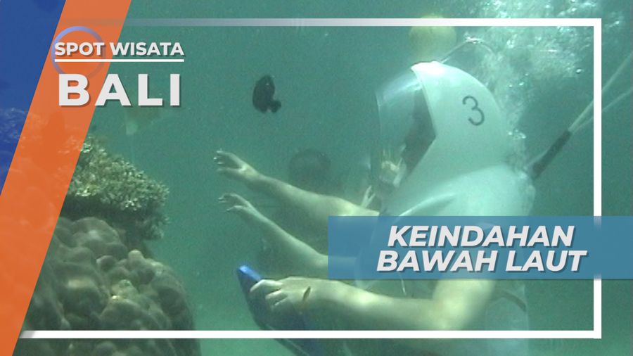 Sea Walker Bali, Serunya Berjalan di Dasar Laut Bersama Ikan-Ikan Cantik Aneka Warna