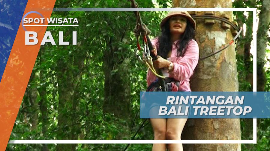 Berjalan di Atas Tali atau Berayun-ayun Antara Pohon Besar di Hutan Raya Bedugul Bali