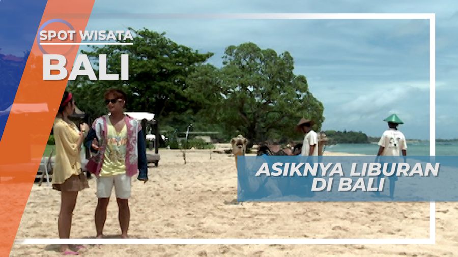 Bertemu Unta Australia Di Pasir Pantai Nusa Dua Bali