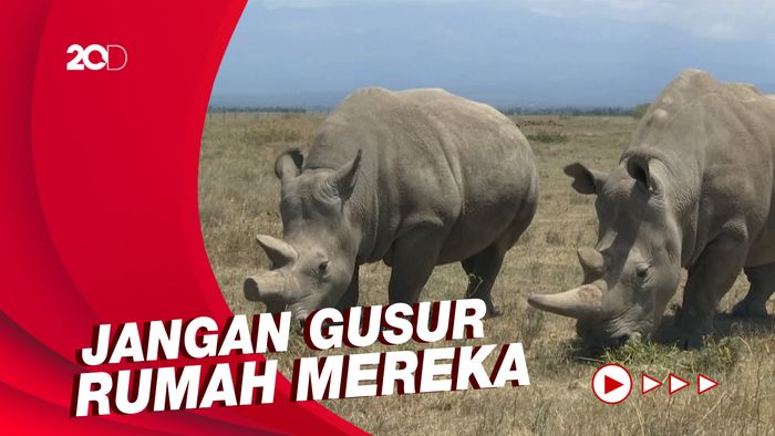 Peringati Hari Binatang Sedunia dengan Cara Berikut Ini!