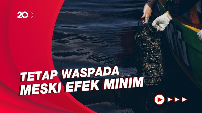 Pesan Peneliti Terkait Pencemaran Paracetamol di Teluk Jakarta