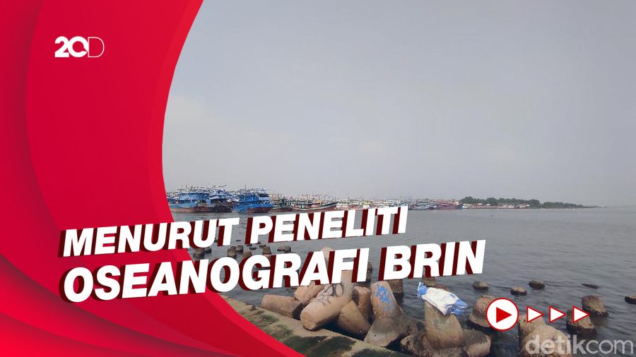 Seperti Apa Dampak Kontaminasi Paracetamol di Teluk Jakarta?