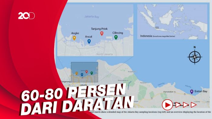 Kata Peneliti Soal Sumber Pencemaran Paracetamol di Teluk Jakarta
