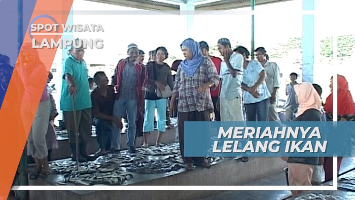 Berkunjung ke Pasar Pelelangan Ikan Kalianda Lampung
