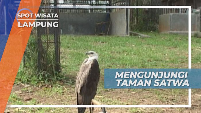 Taman Wisata Satwa, Wahana Rekreasi Keluarga Favorit di Lampung