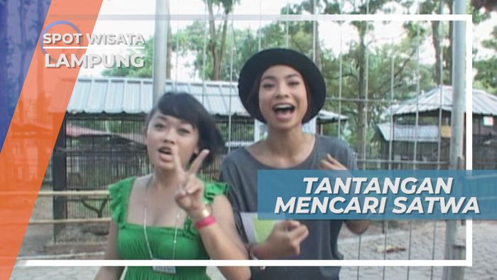 Mengintip Beragam Koleksi Satwa di Taman Wisata Lampung